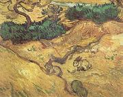 Vincent Van Gogh Field with Two Rabbits (nn04) Sweden oil painting reproduction